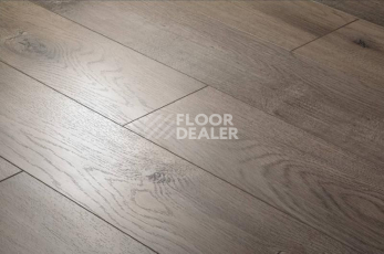 Ламинат Floorway Standart 12мм PRE-64 Дуб Limed фото 1 | FLOORDEALER